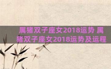 属猪双子座女2018运势 属猪双子座女2018运势及运程